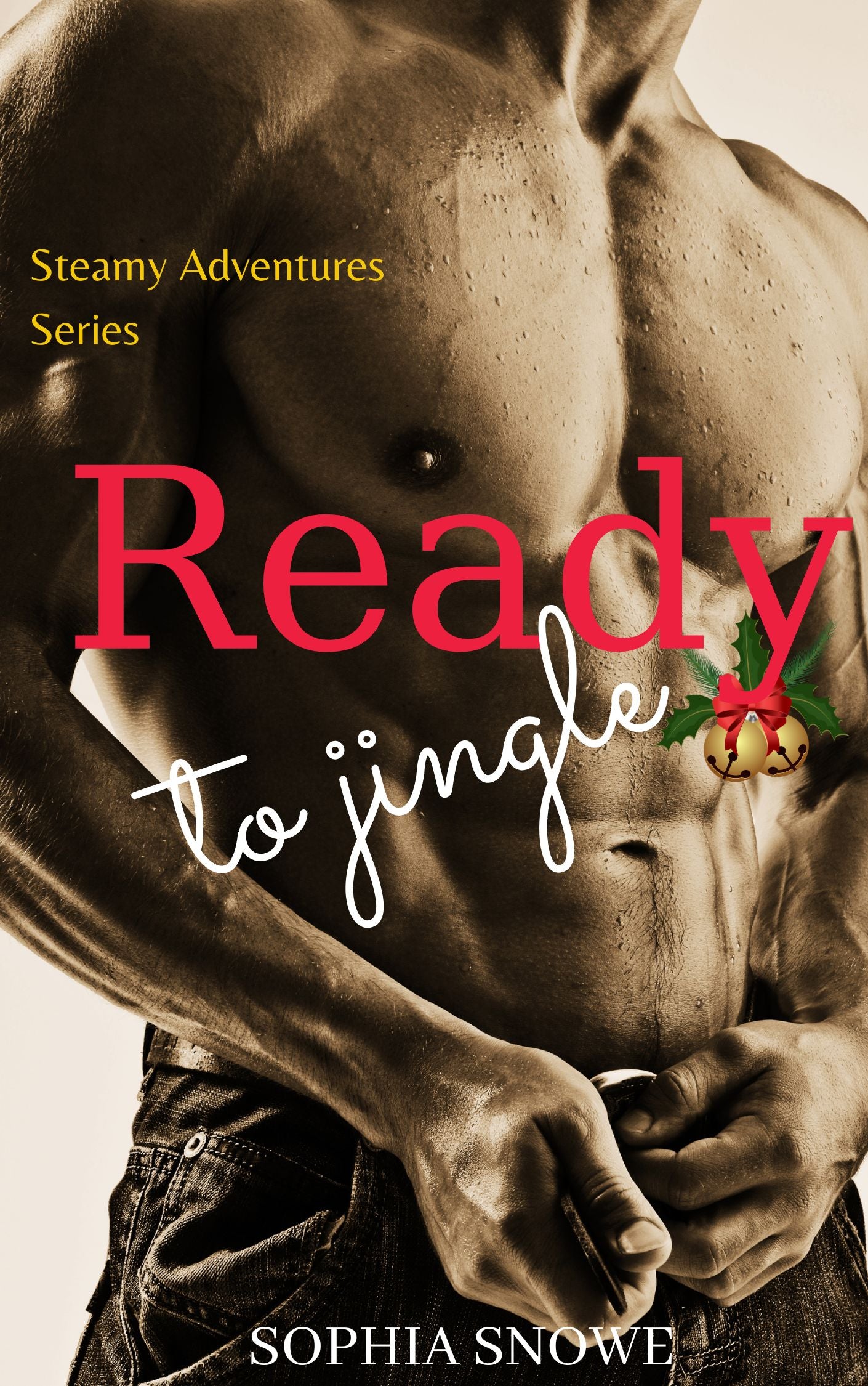 Ready to Jingle : December (Hot and Bothered Steamy Shorts Book 1)
