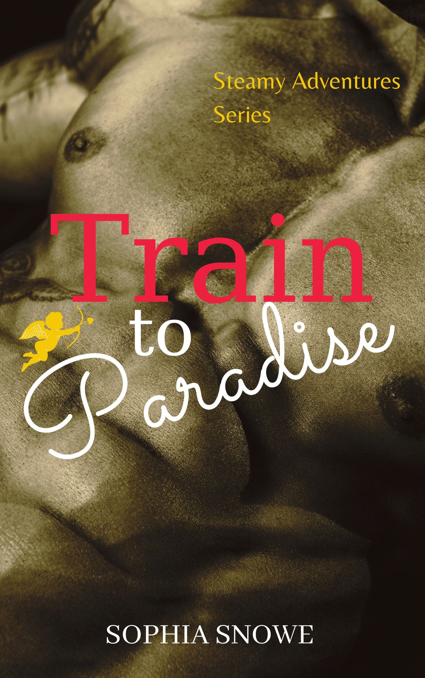 Train to Paradise (Hot and Bothered Steamy Shorts Book 3)