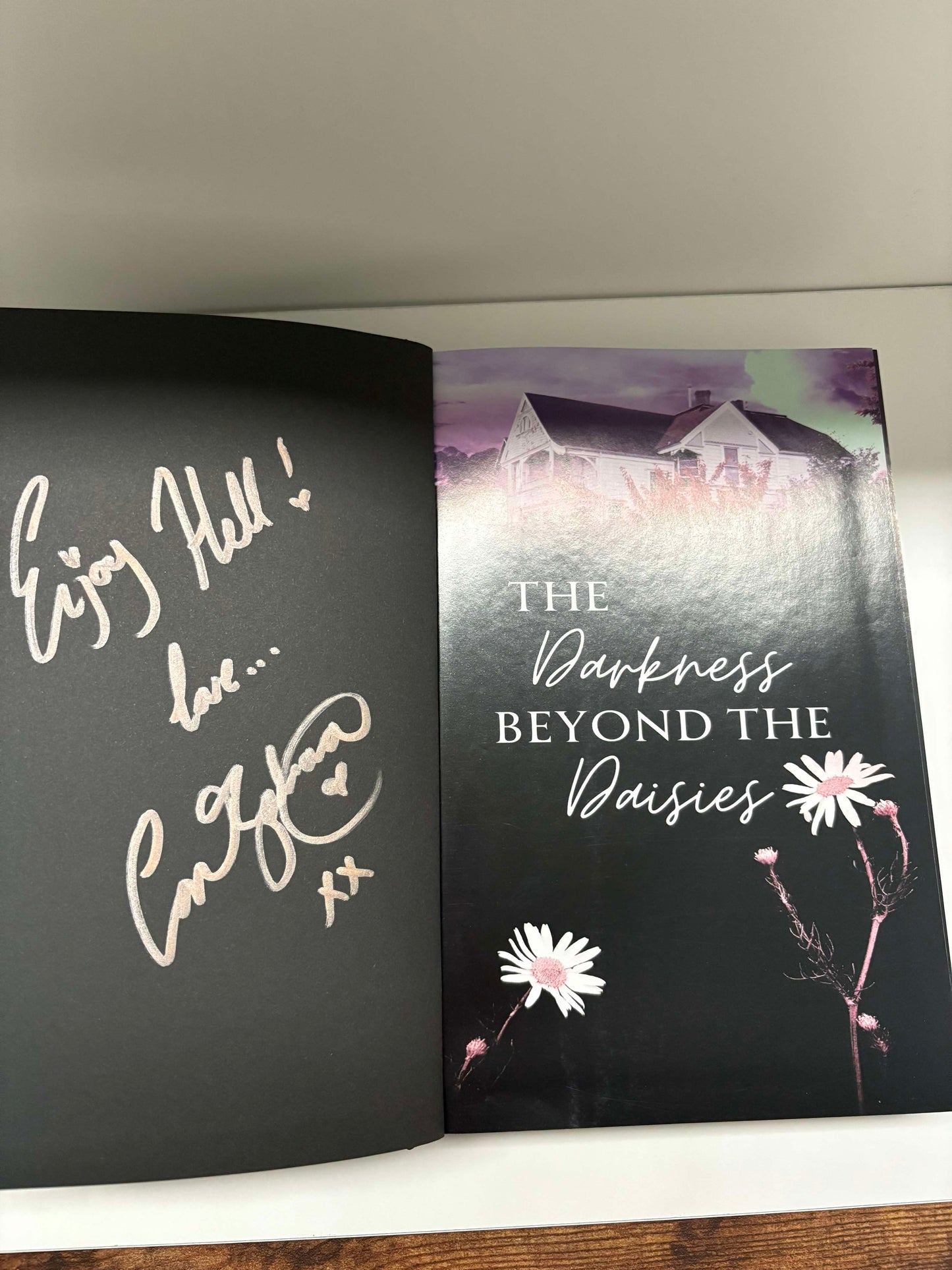 Signed Special Edition of The Darkness Beyond the Daisies by Cori Zahara with Dust Jacket