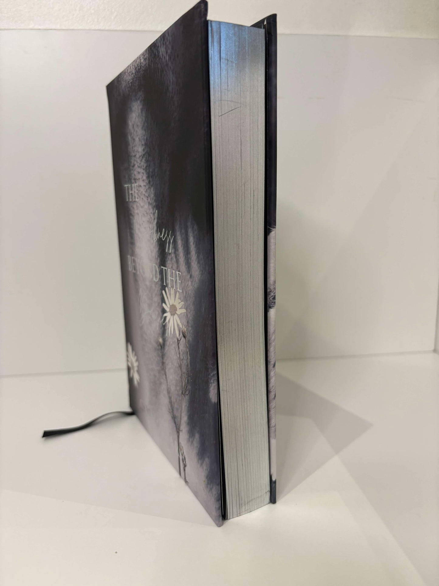 Signed Special Edition of The Darkness Beyond the Daisies by Cori Zahara with Dust Jacket